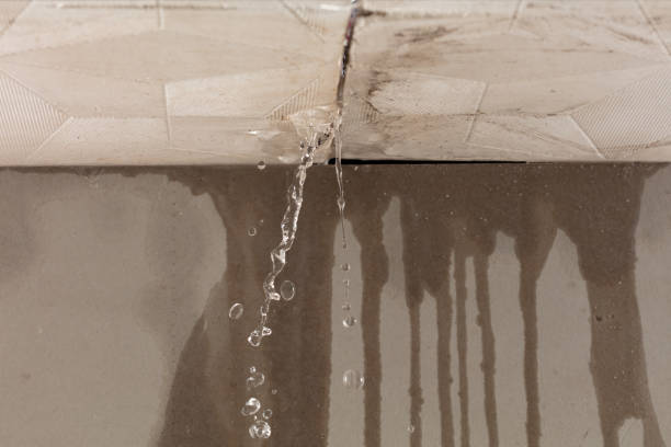 Professional Structural Drying technician working in Cedar Grove, WI